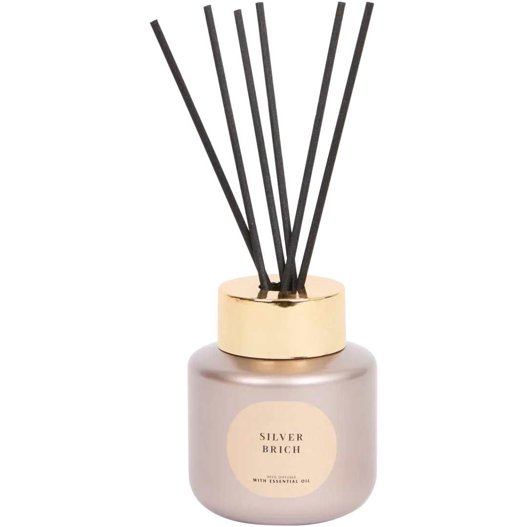 Diffuseur de parfum à bâtonnets