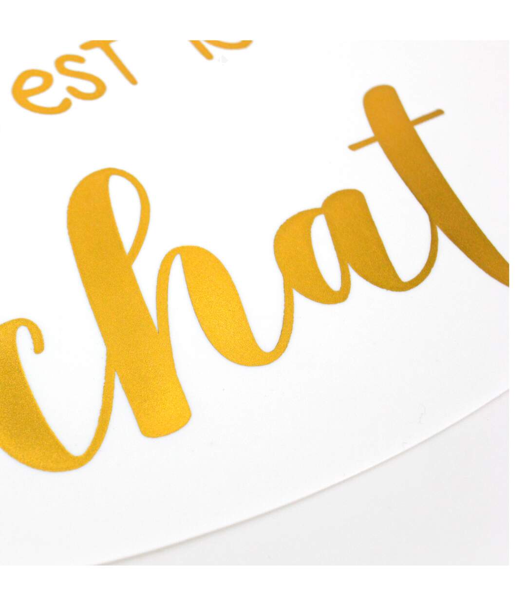 Lot de 2 sets de table enfant CHAT Rose