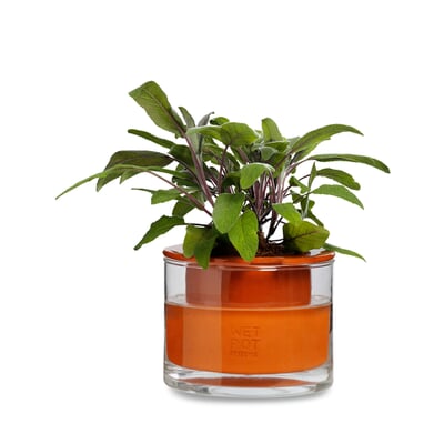Pflanzgefäß Wet Pot Systems, Ø 12 cm