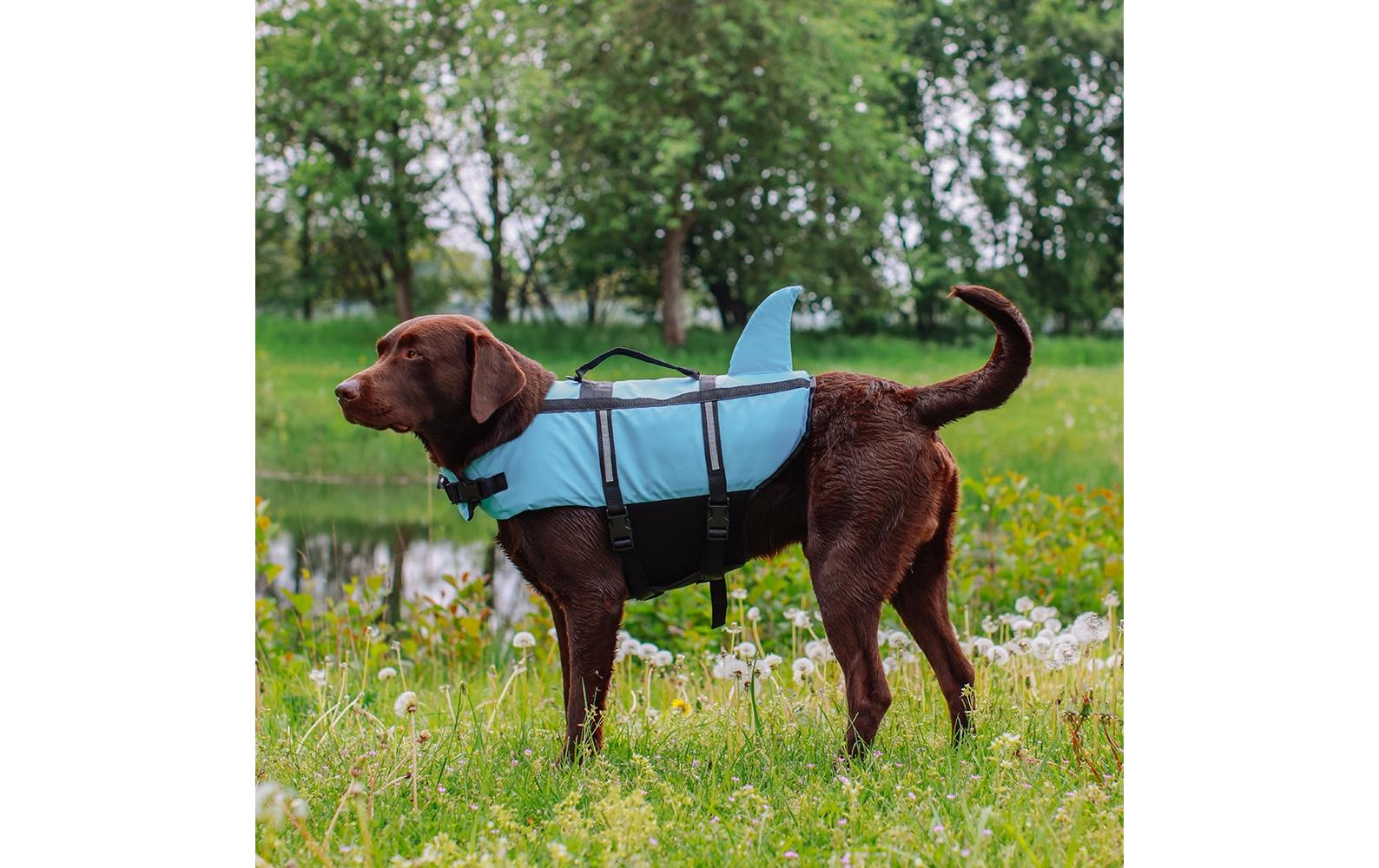 Schwimmweste Sharki XS, 25 cm, BlauHundeweste