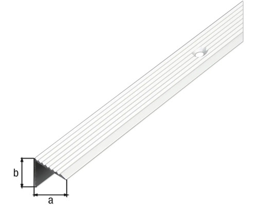 Trapprofiel, aluminium, zilver geanodiseerd, 20x17,5x1 mm, 2 m
