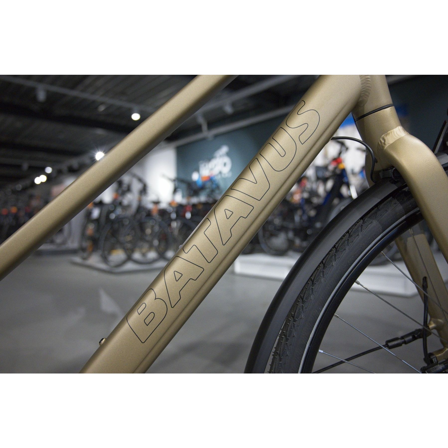 Batavus Senz Exclusive 2026