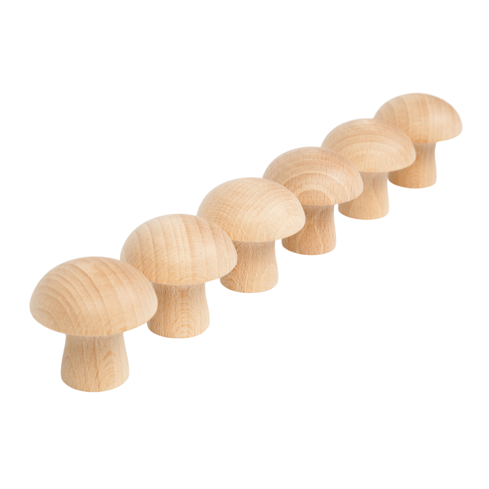 Holzpilze Natur 6 Stück Grapat
