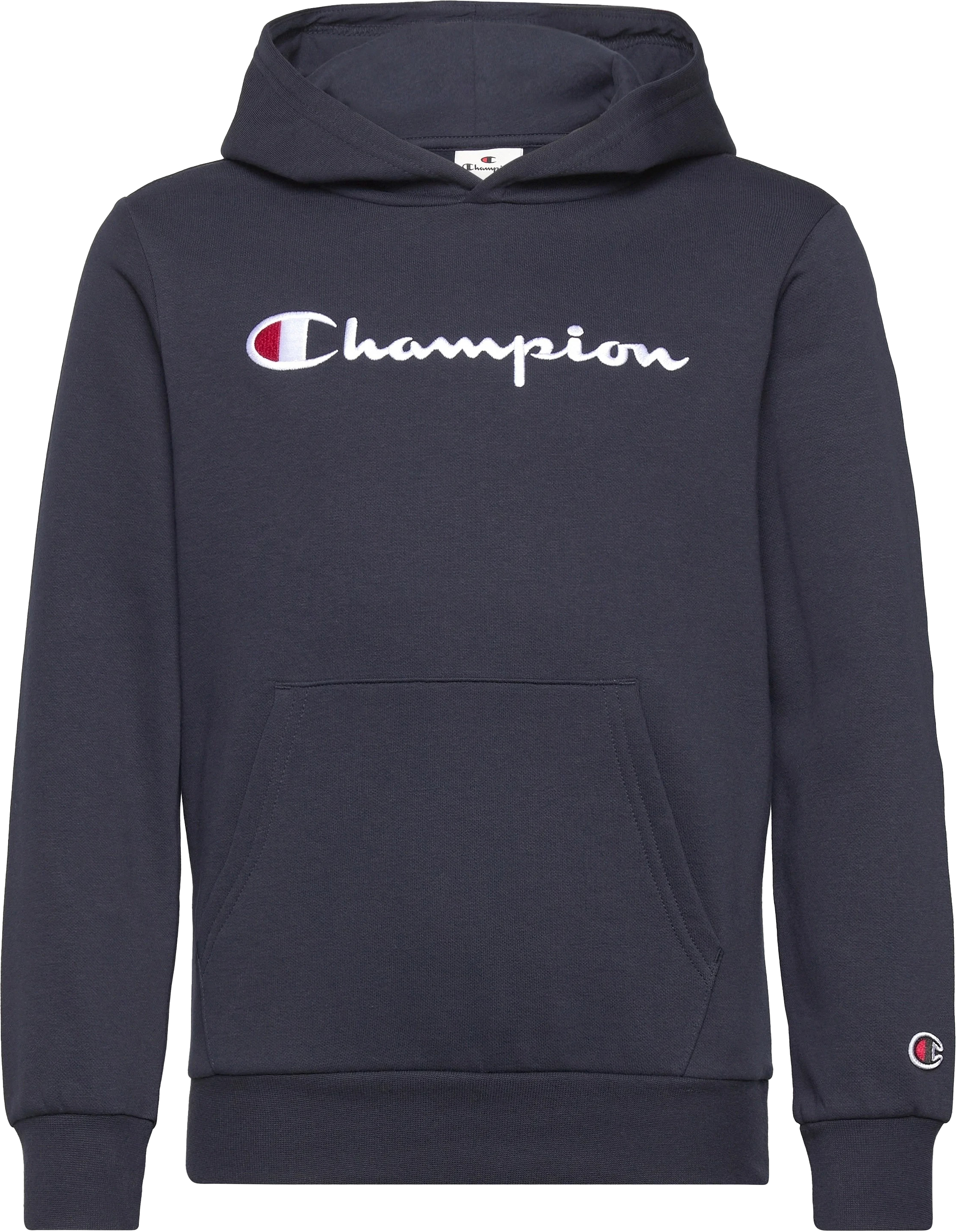 ICONS Hoodie Gutt Sky Captain