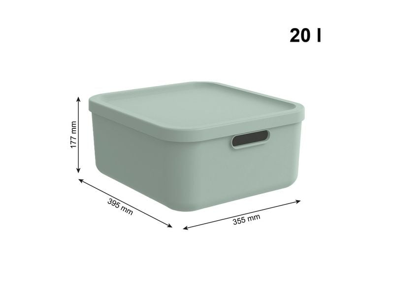 Rotho Babydesign Spielzeugbox KAYO M Sage Green Multi Box für ein schönes Ambiente im Kinderzimmer