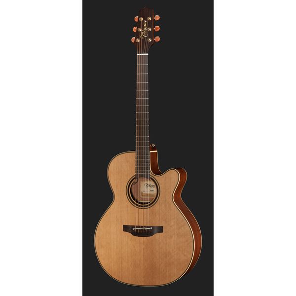 Takamine P3NC Pro Serie w/Softcase
