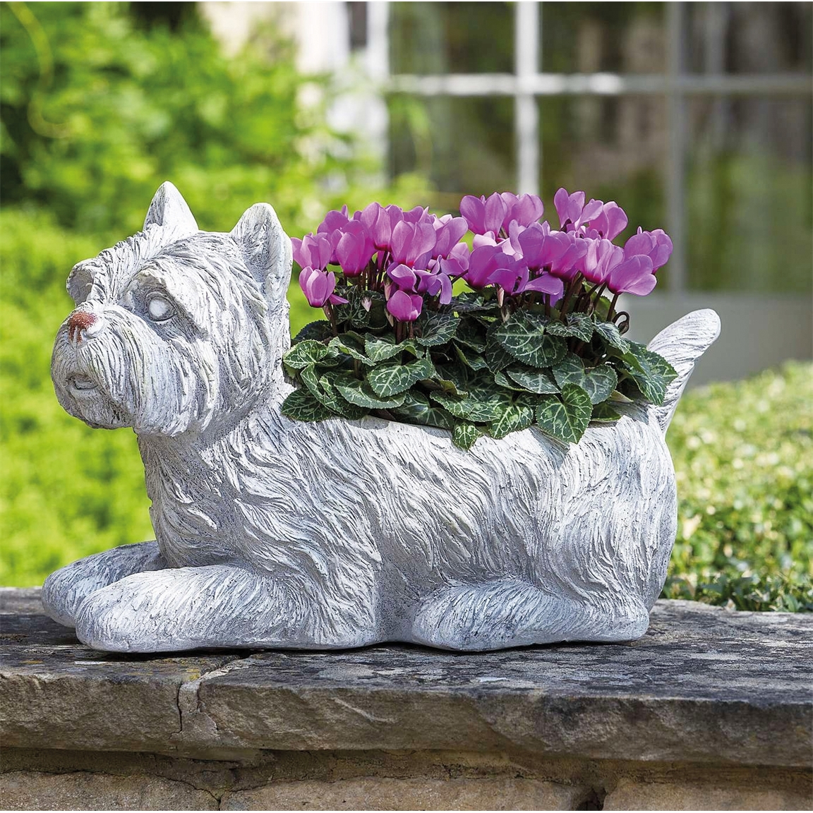 Pot de fleurs