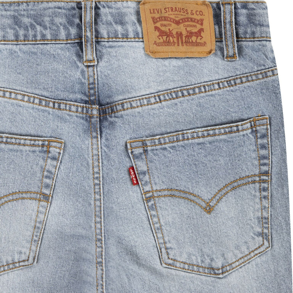 Køb Levi's Grain Of Salt No Destruction Lvb Stay Loose Taper Jeans