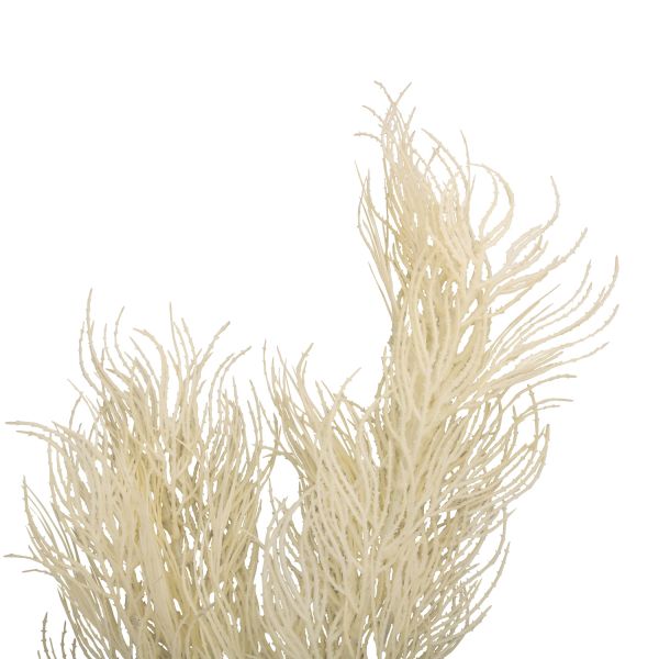 Present Time Arti Cial Tak Asparagus - Zand