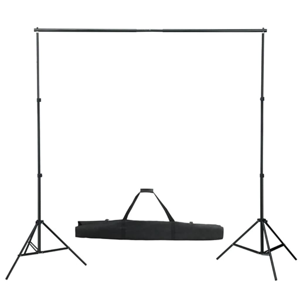 vidaXL Achtergrond ophangsysteem met groene achtergrond 600 x 300 cm