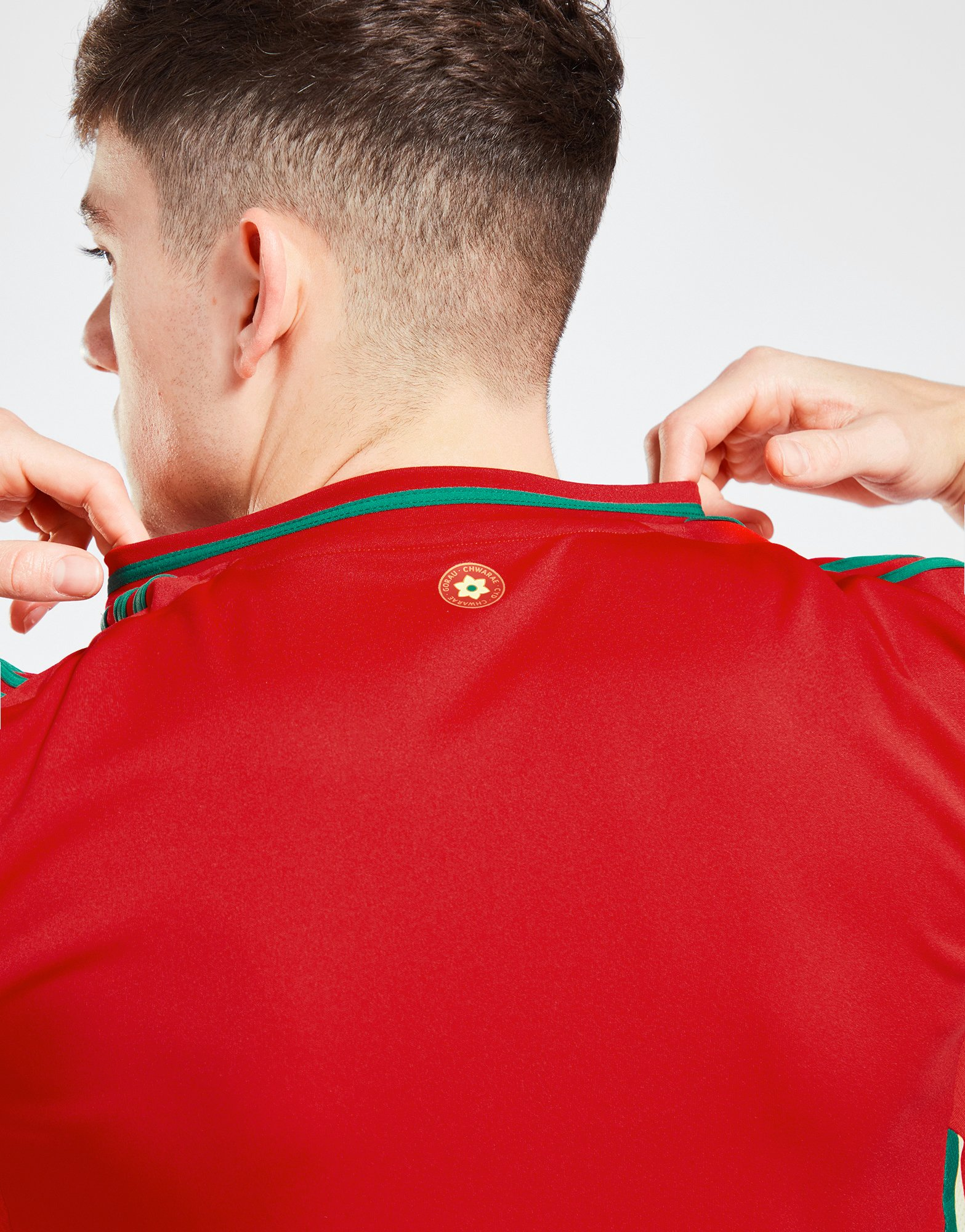 adidas Maillot Pays de Galles 2024 Match Domicile Homme
