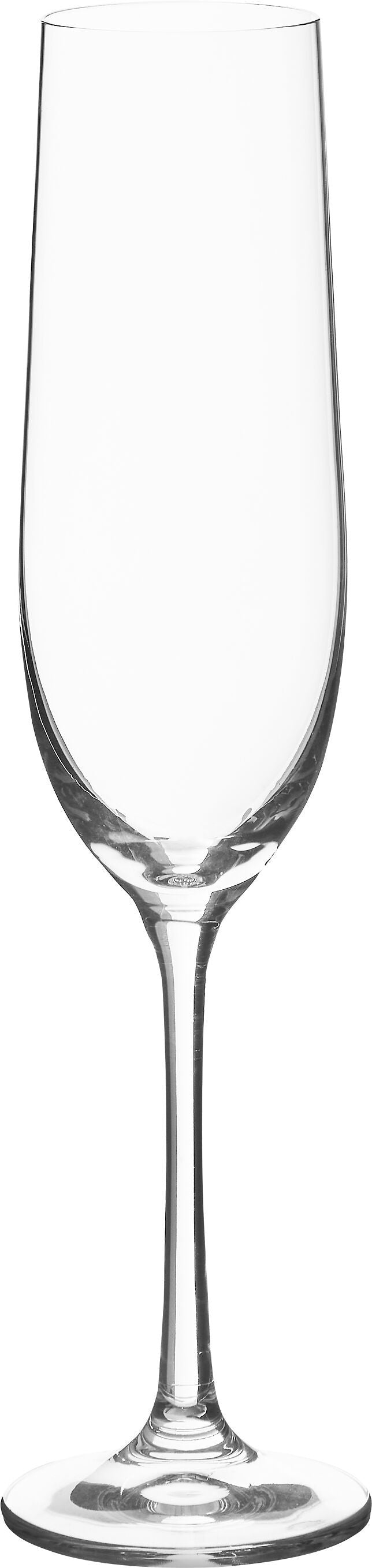 ALICIA Sektglas-Set - Transparent / H: 24.1 cm