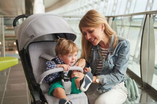 Buggy Chicco We Cool Grey