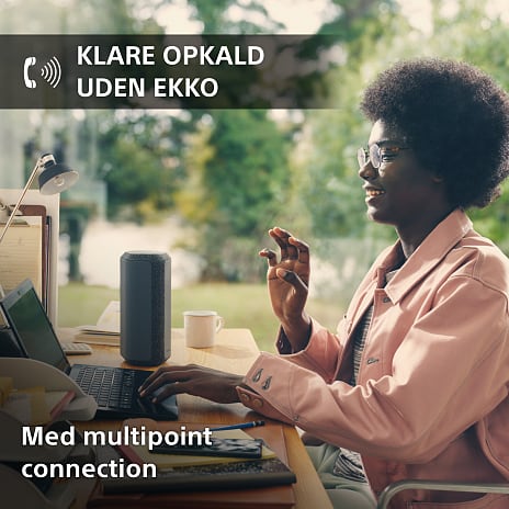 Sony SRS-XE300B bærbar højttaler - sort