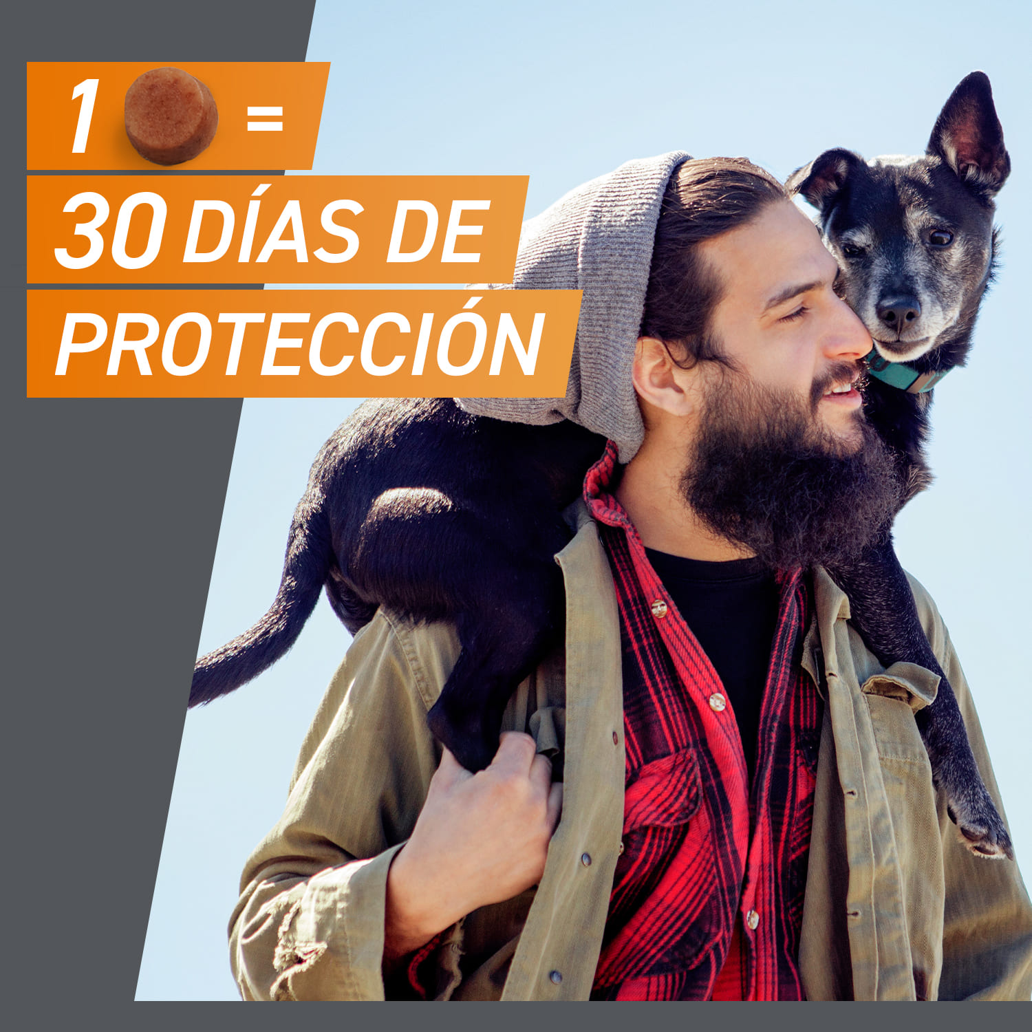 Comprimidos antiparasitários mastigáveis Frontpro para cães