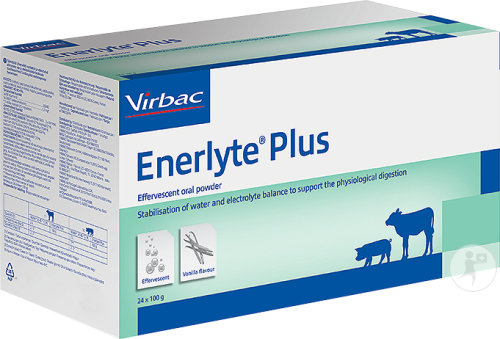 Virbac Enerlyte Plus Poudre Orale Effervescente Sachets 24x100g
