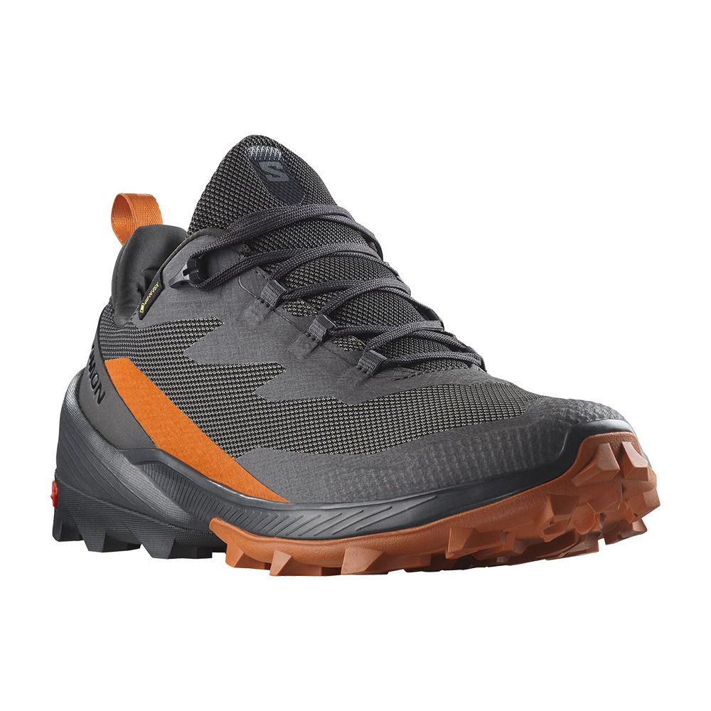 Salomon CROSS OVER 2 GTX - Chaussures randonné Homme magnet/phantom/spice route