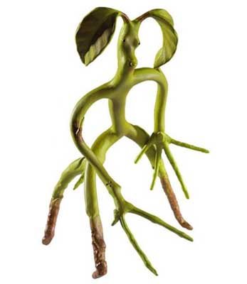 Poseable Bowtruckle