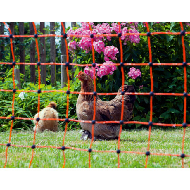Filet poules 50 m simple pointe AKO orange électrifiable Hauteur 112 cm