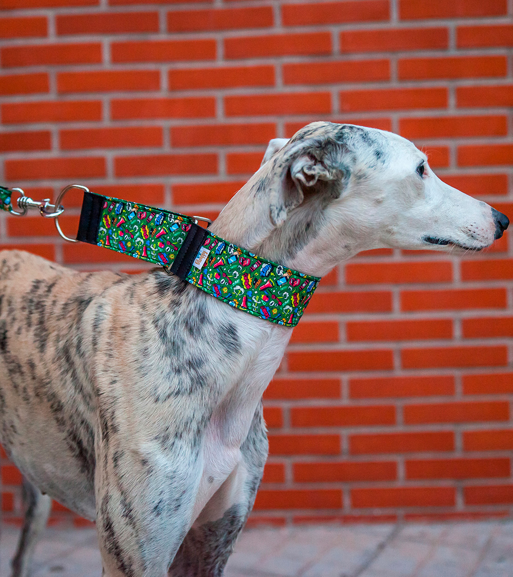 Coleira para cães Pamppy Galgo Speedy Comic Mouth