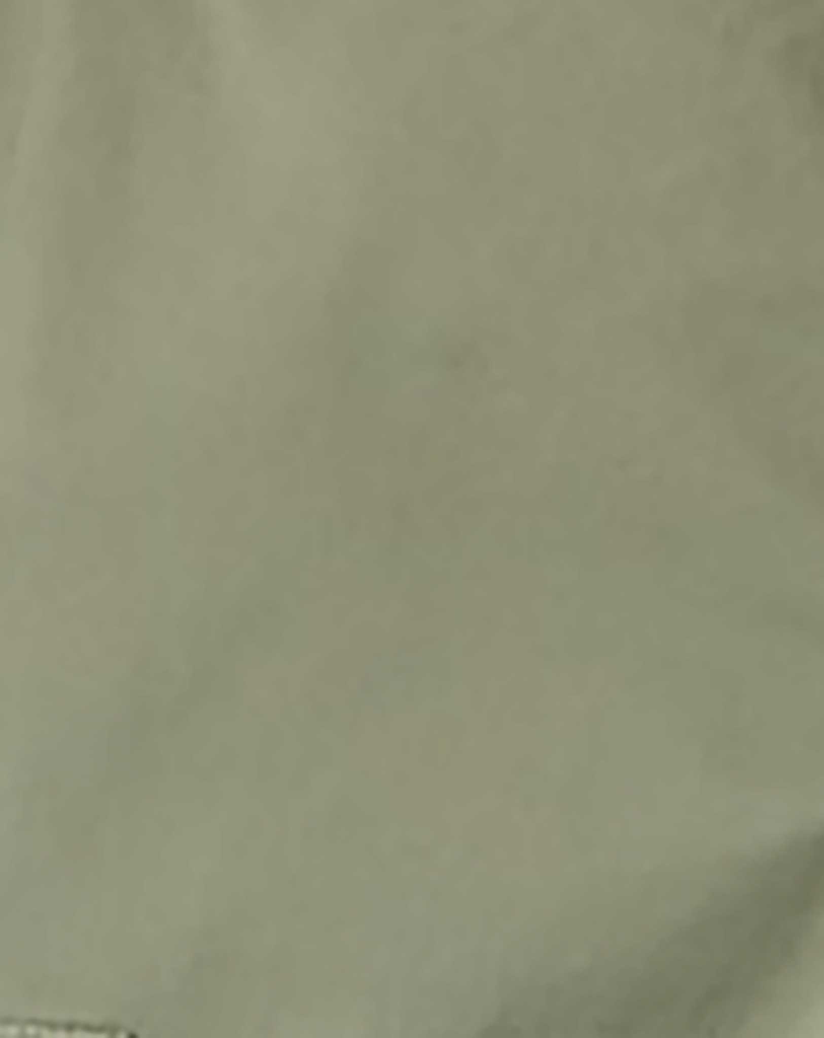 Cargo-Hose NKFROSE HW REG 7505-BM in deep lichen green