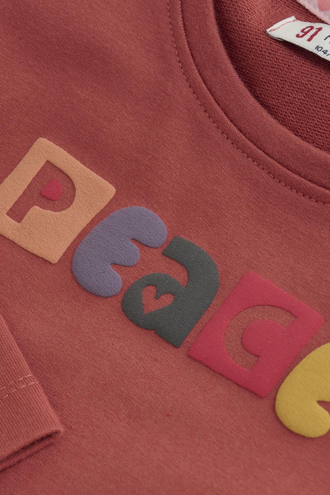 Noppies Kids Longsleeve Philo - Tandoori Spice