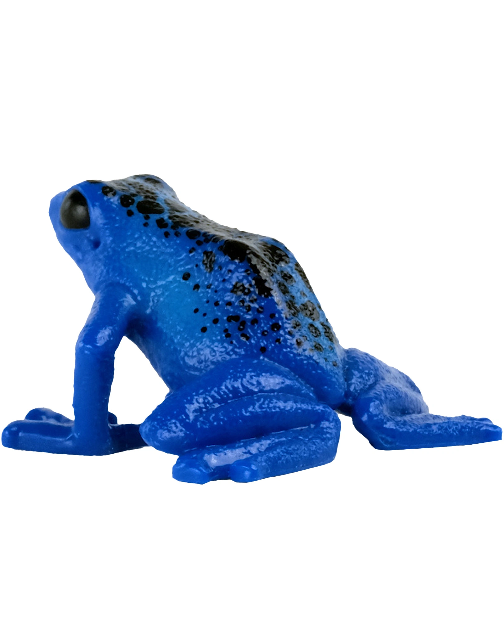 schleich® 14864 Wild Life - blauer Pfeilgiftfrosch