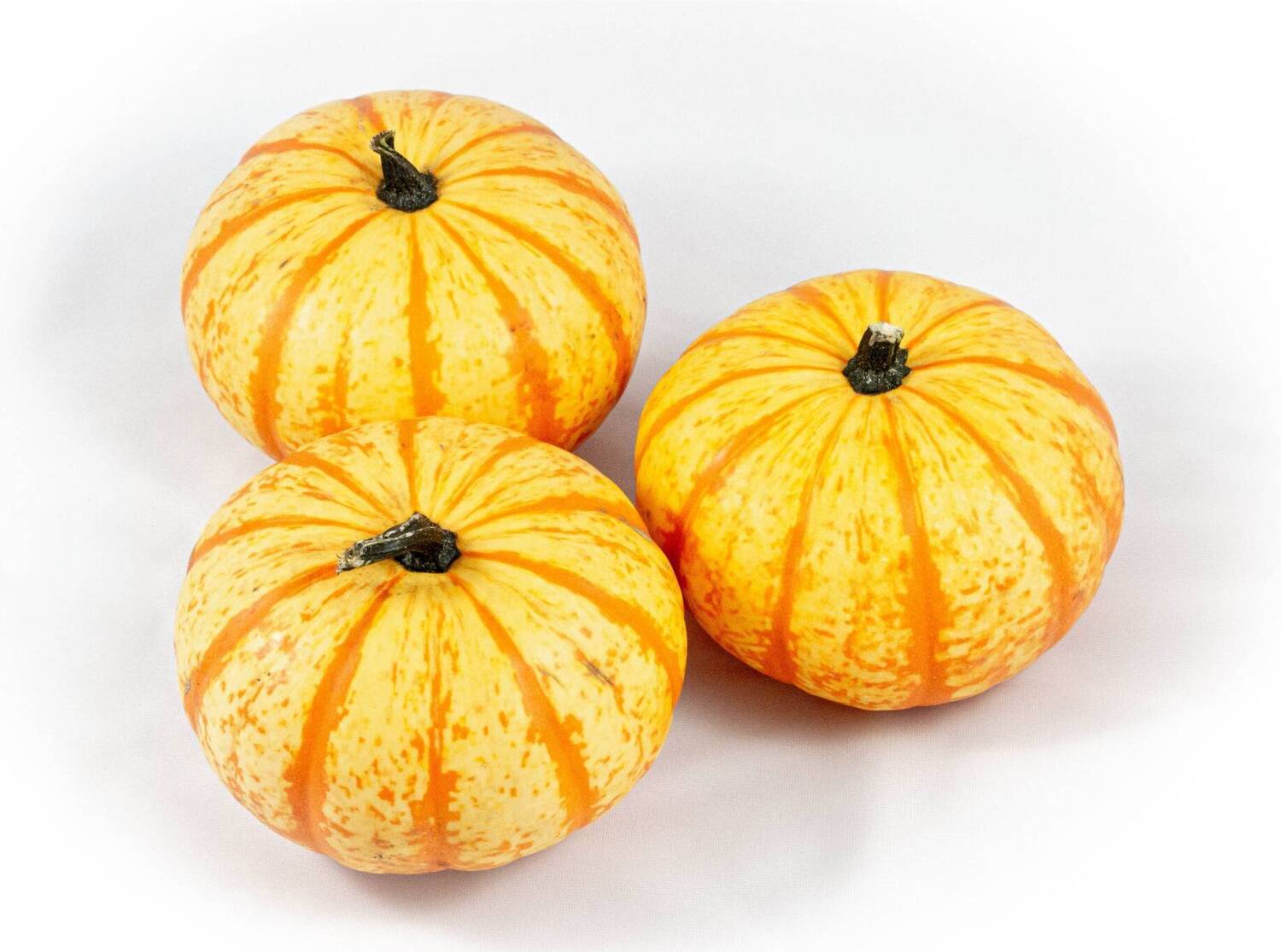 Pompoen (Cucurbita 'Blaze') D 15 cm