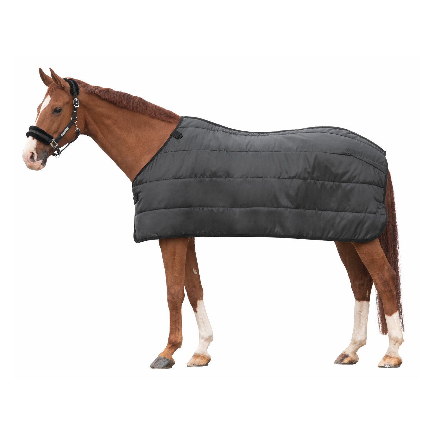 Cheval de Luxe Unterdecke Nantes 100 g  - black