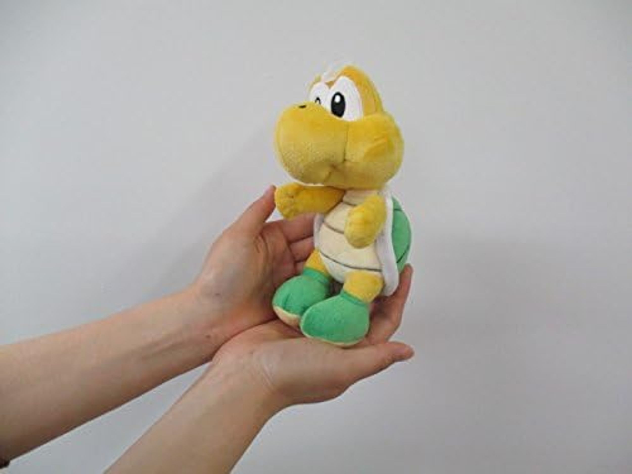 Koopa Troopa