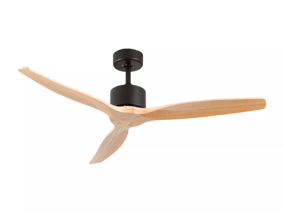 Ventilateur de Plafond 3 Pales 55W 6 Vitesses Nebraska Noir Thinia Home