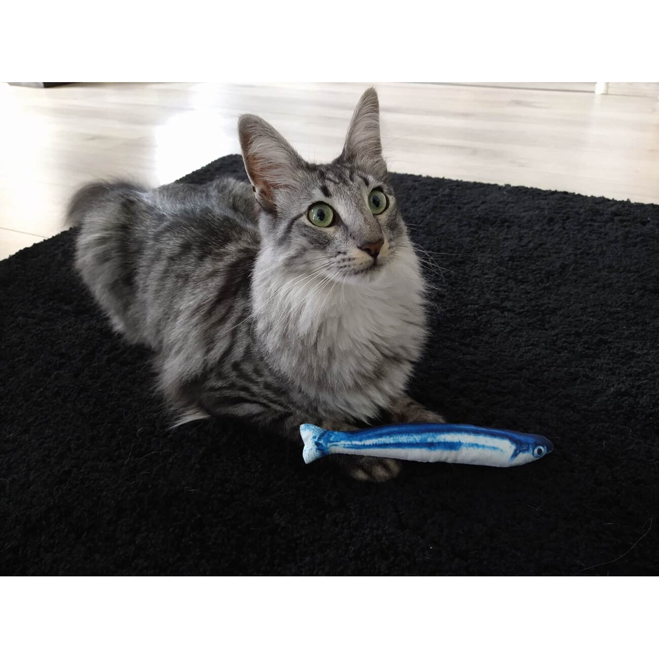 I love my cat Katzenspielzeug - Plüschfisch mit Katzenminze