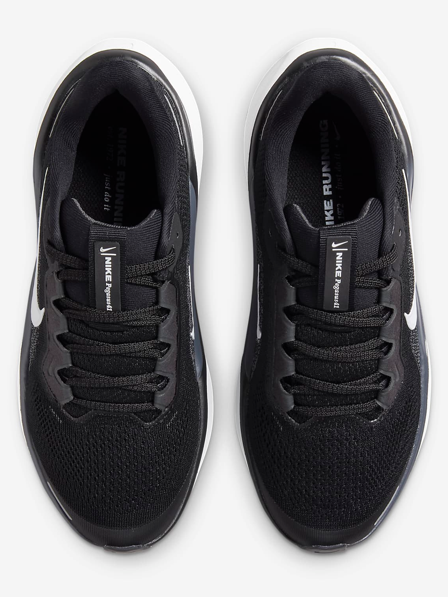 Pegasus 41