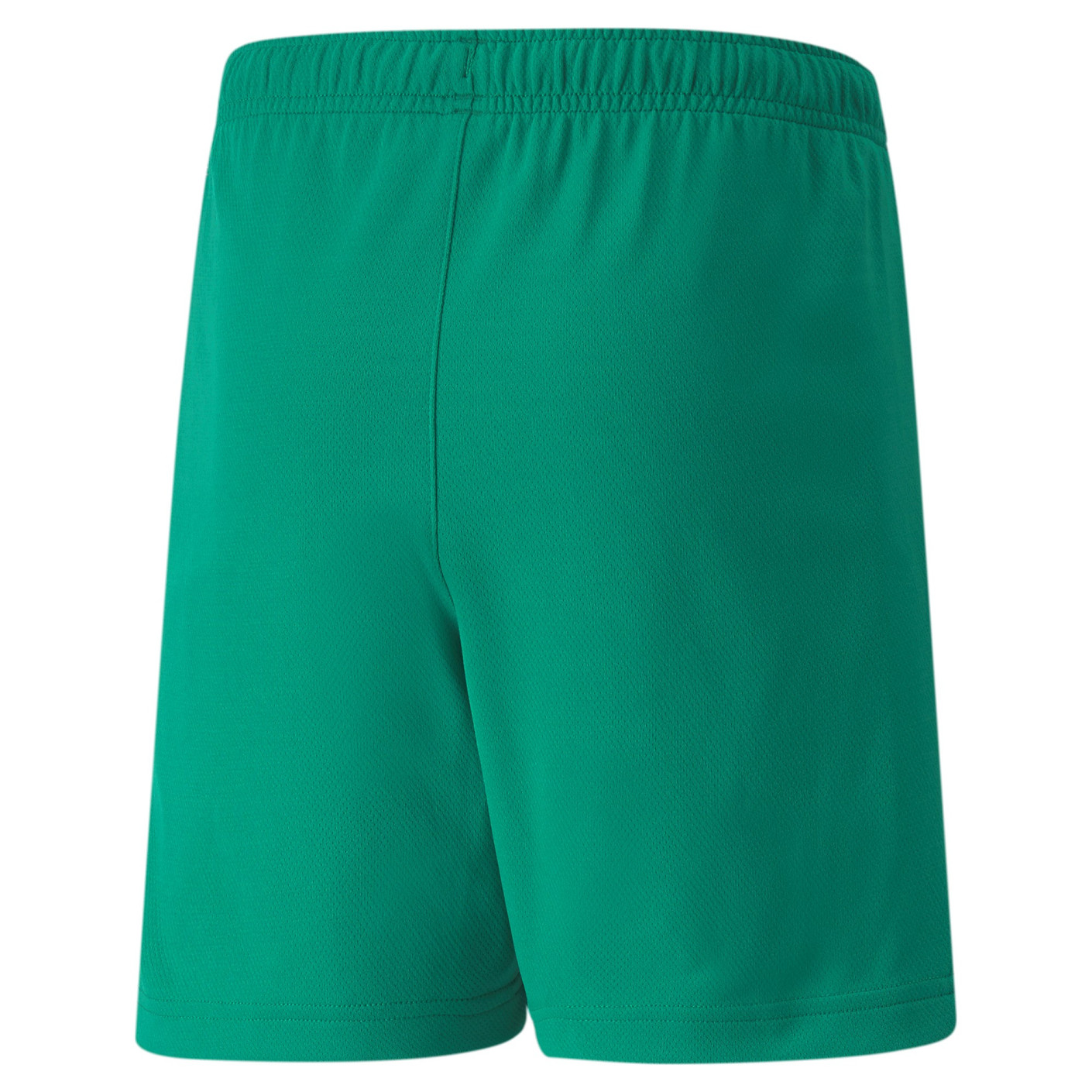 PUMA teamLIGA Trainingsset Kids Groen Wit