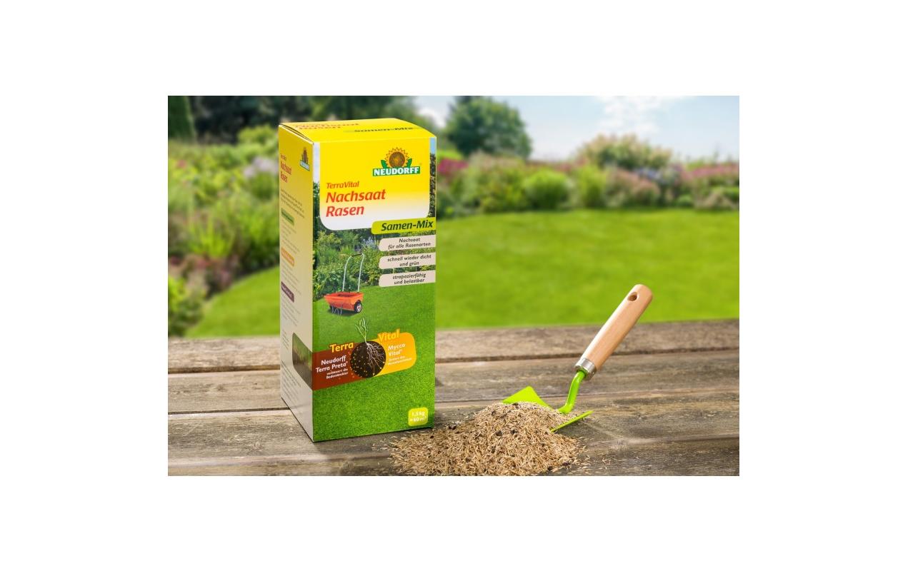 Rasensaat TerraVital NachsaatMix, 450gTerraVital Nachsaatmischung für alle Rasentypen
