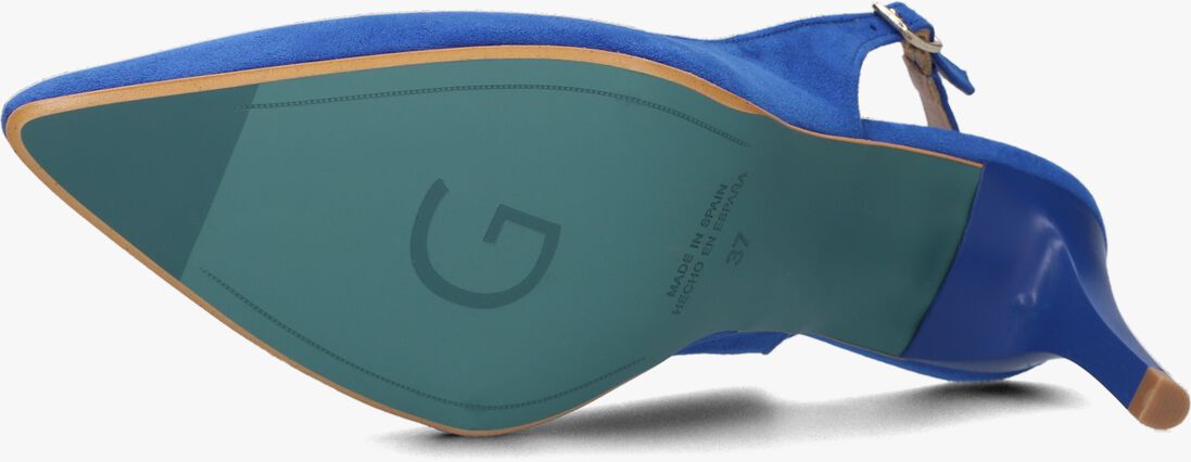 GIULIA blauwe giulia  g.8.shany