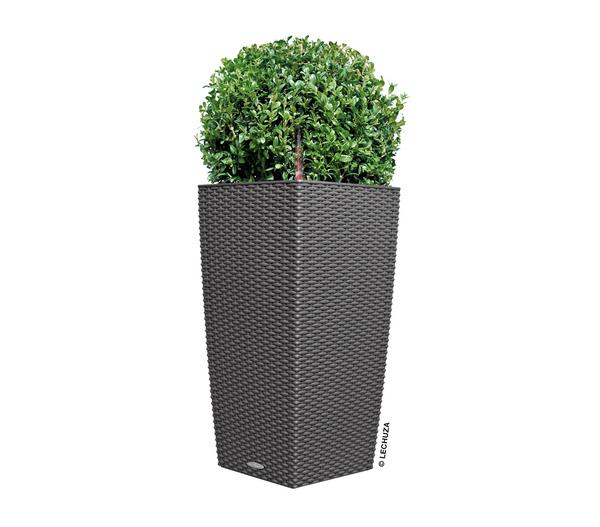 LECHUZA® Kunststoff-Topf Cubico Cottage,