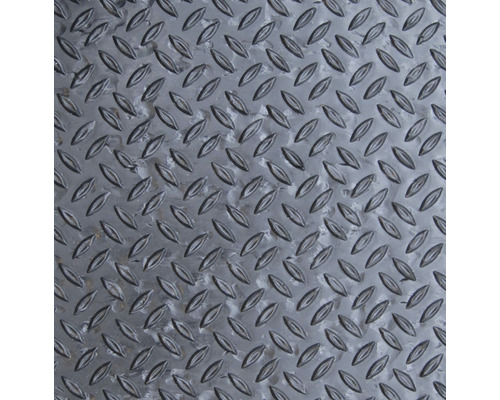 Vuilopvangende loper Create Three Paardenbloem antraciet 66x150 cm