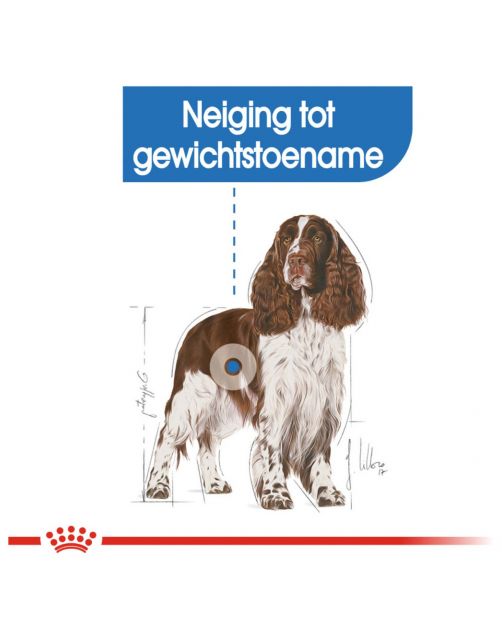 Royal Canin Light Weight Care Medium - Hondenvoer