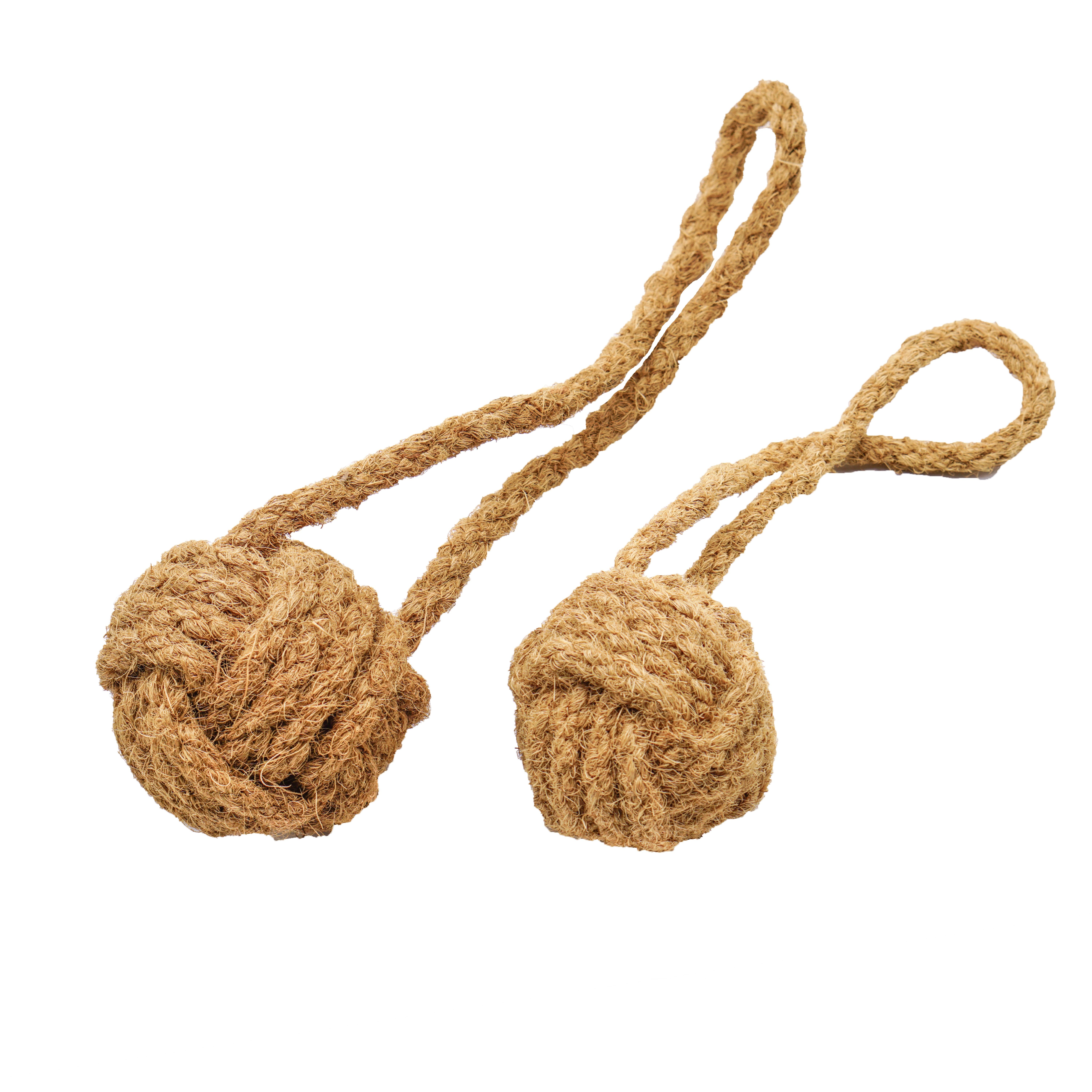 mascota casa - Coco Ball
