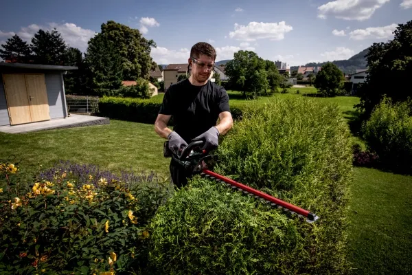 Metabo HS 18 LTX 55 - Hæktrimmer - ledningfri - 18 V - 2600 spm - 55 cm - 53 cm - Skærekapacitet 19 mm - 2.2 kg (batteri og oplader medfølger ikke) - SOLO