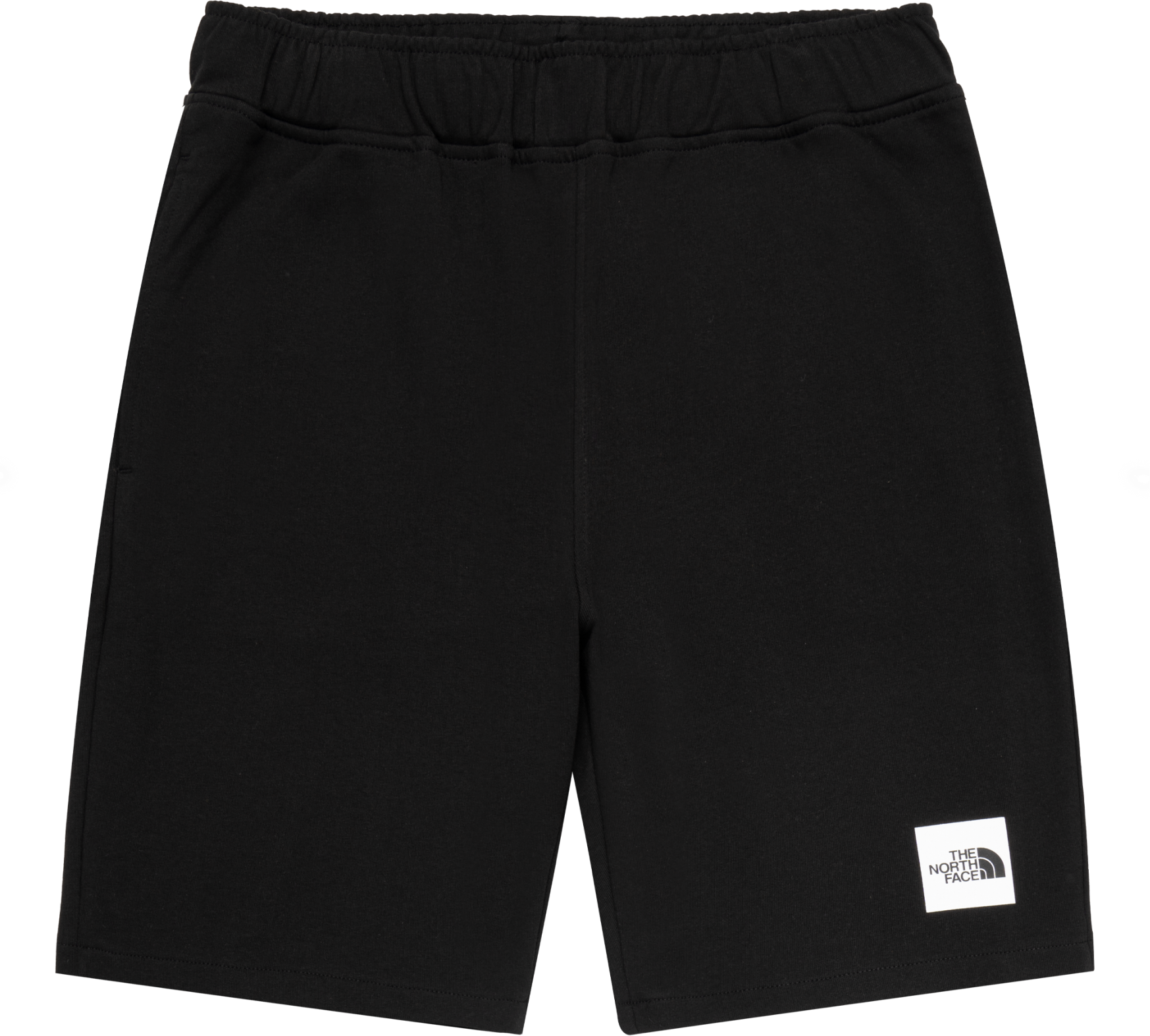 The North Face Summer Logo Short Schwarz