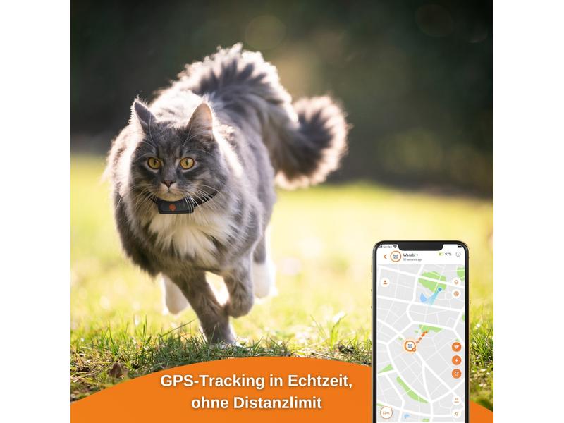 Weenect GPS-Tracker XS für Katzen, Schwarz Der kleinste GPS-Tracker für Katzen