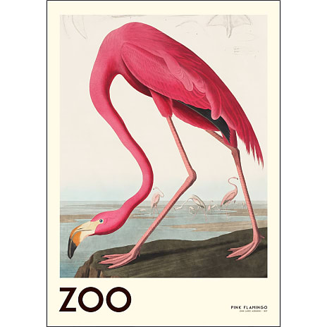 The Zoo Collection, Flamingo - 70x100 cm
