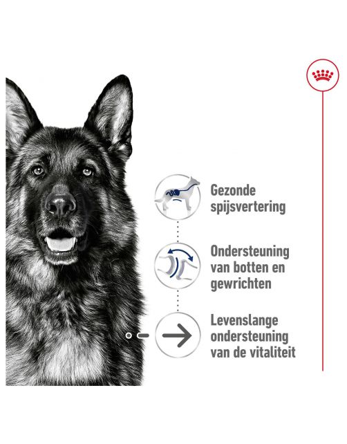 Royal Canin Maxi Ageing 8+ - Hondenvoer