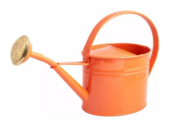 Arrosoir en acier galvanisé avec pomme 1.75 litres