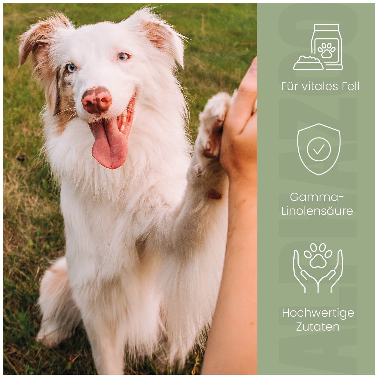 ALPHAZOO Fellliebe Futteröl für Hunde