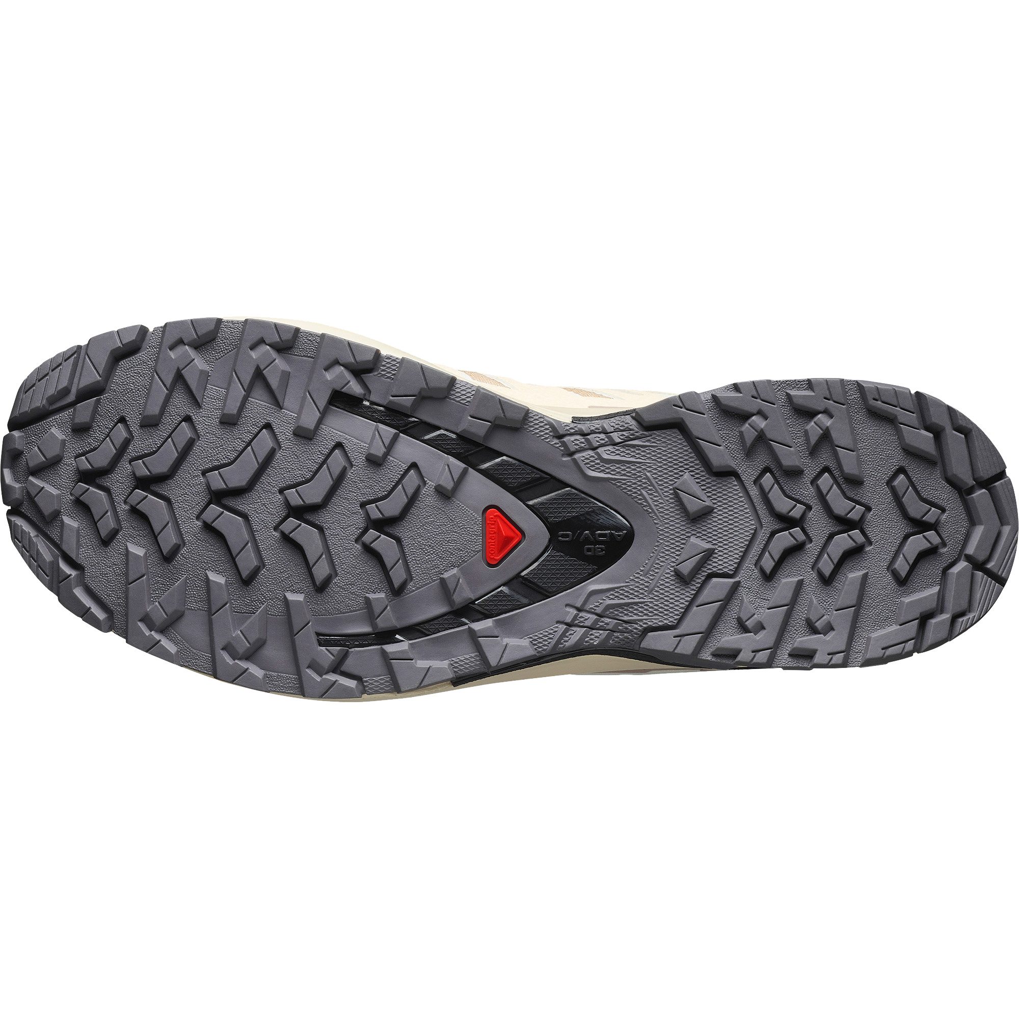 Salomon XA PRO 3D V9 GORE-TEX® Trailrunningschuhe Damen hazelnut