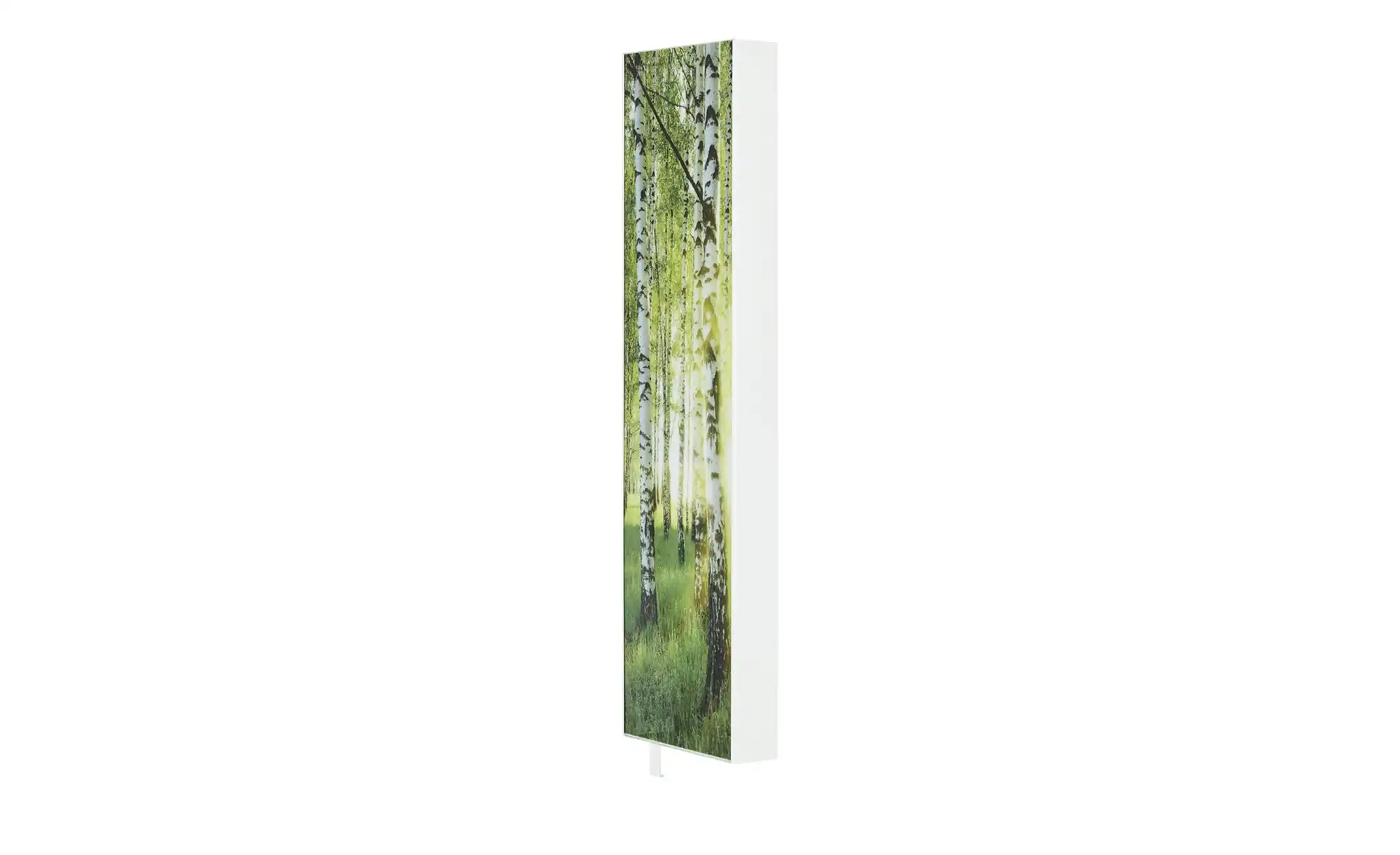 Mehrzweckschrank Pictura