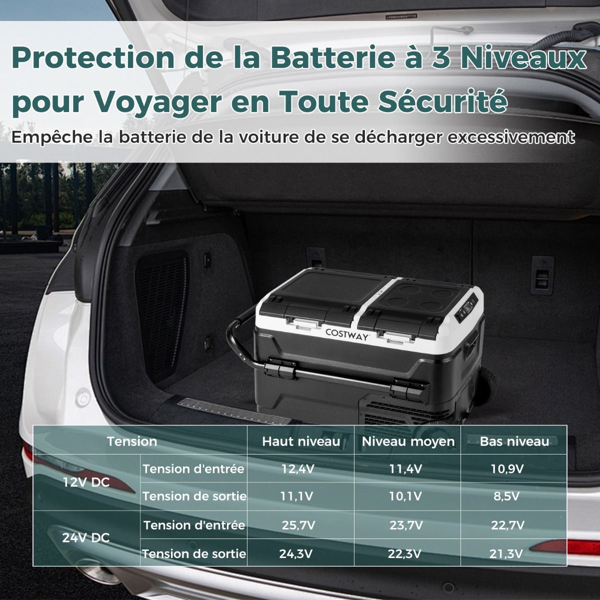 Glacière Électrique Portable Double Zone 40L Réfrigérateur de Voiture 12 V à Compresseur -20℃ ~ 20℃ 12/24V CC et 100-240V CA Noir - Lidl-Manfred